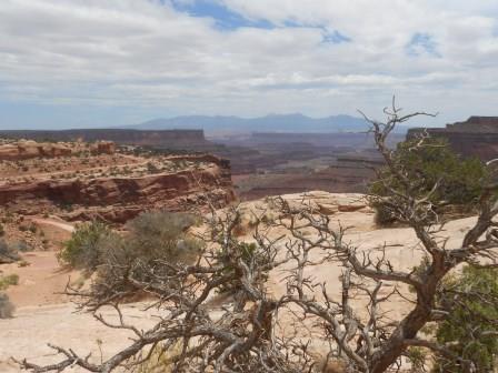 Canyonland (Moab) (UT)